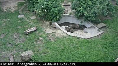 Torgau Daglicht Webcam Image Torgau Daglicht Webcam Image