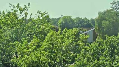 Lengenbostel weather webcam