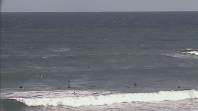 Recent Anglesea Webcam Image