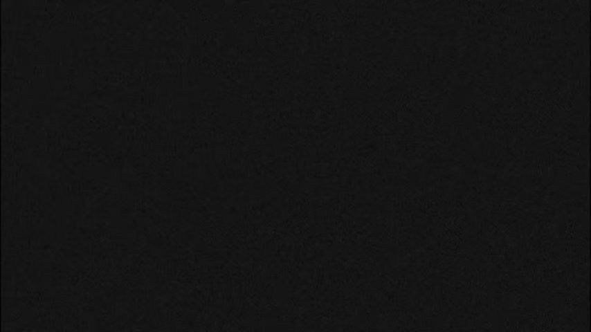 Traffic Cam Noordoostpolder › South