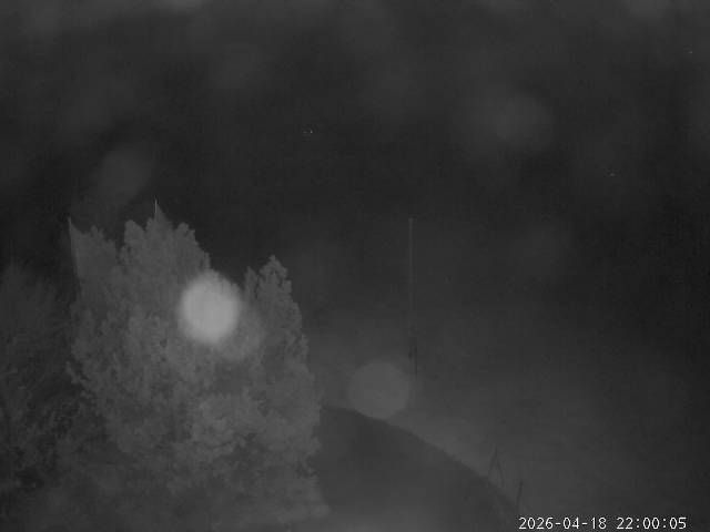 Aeschi bei Spiez: Aeschiried: Langlauf Aeschi bei Spiez Loipen Bern