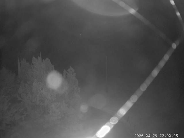 Aeschi bei Spiez: Aeschiried: Langlauf Aeschi bei Spiez Loipen Bern