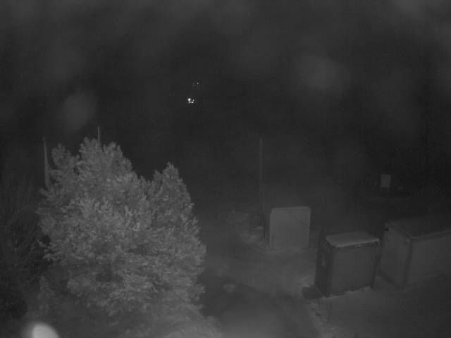 Aeschi bei Spiez: Aeschiried: Langlauf Aeschi bei Spiez Loipen Bern