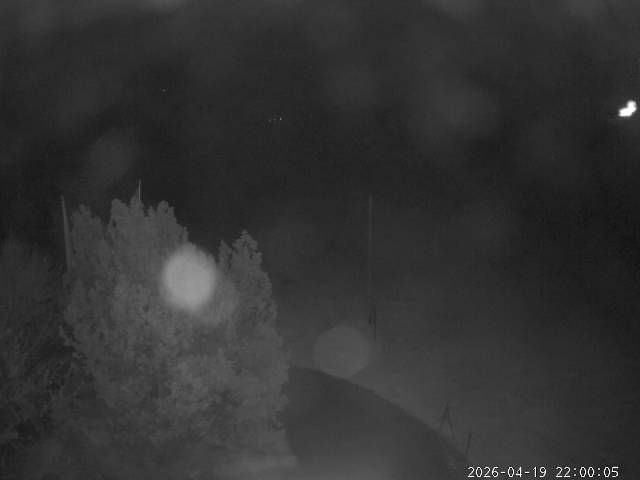 Aeschi bei Spiez: Aeschiried: Langlauf Aeschi bei Spiez Loipen Bern