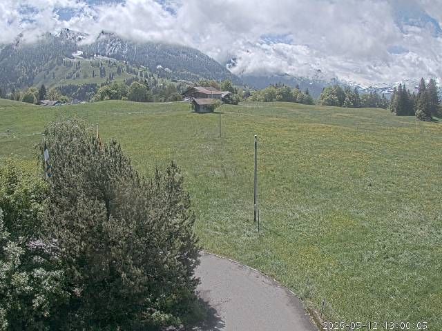 Aeschi bei Spiez: Aeschiried: Langlauf Aeschi bei Spiez Loipen Bern
