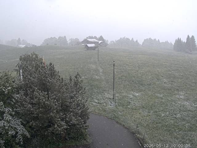 Aeschi bei Spiez: Aeschiried: Langlauf Aeschi bei Spiez Loipen Bern