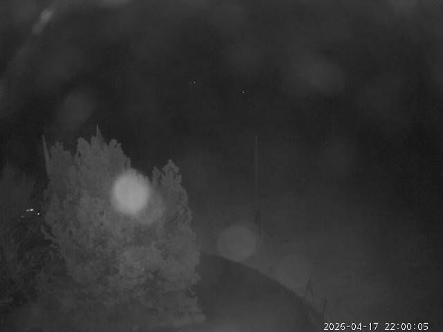 Aeschi bei Spiez: Aeschiried: Langlauf Aeschi bei Spiez Loipen Bern