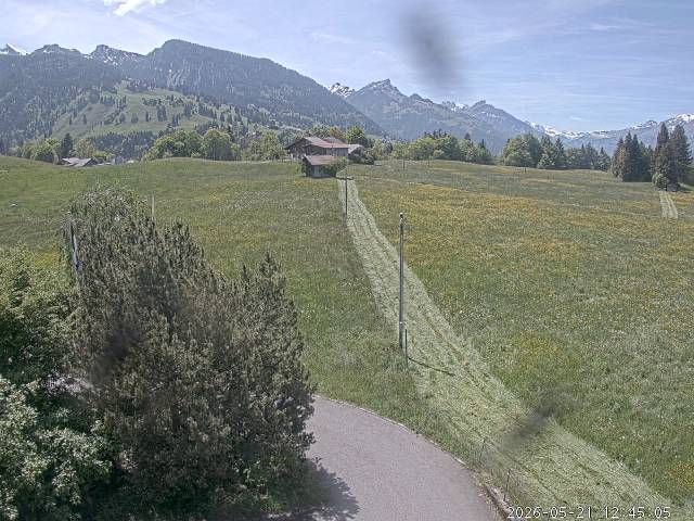 Aeschi bei Spiez: Aeschiried: Langlauf Aeschi bei Spiez Loipen Bern