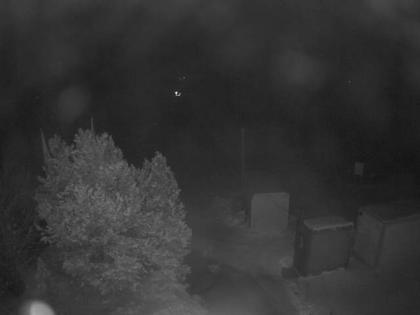 Aeschi bei Spiez: Aeschiried: Langlauf Aeschi bei Spiez Loipen Bern