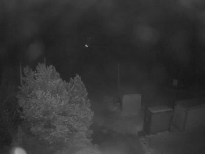 Aeschi bei Spiez: Aeschiried: Langlauf Aeschi bei Spiez Loipen Bern