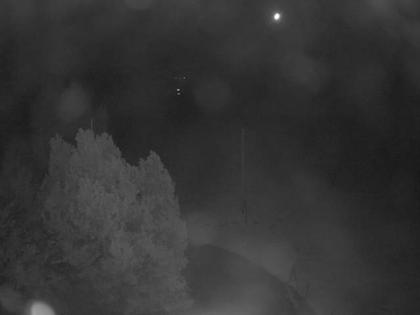 Aeschiried: Langlauf Aeschi bei Spiez Loipen Bern