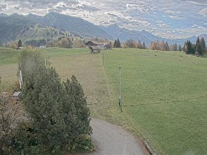 Aeschiried: Langlauf Aeschi bei Spiez Loipen Bern