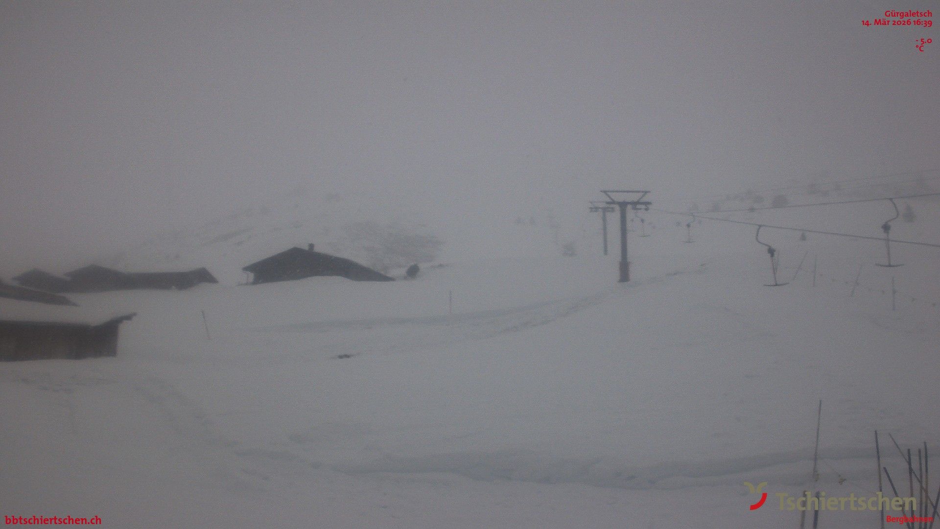 Tschiertschen: Alp Farur Richtung Gürgaletsch (2450 m.ü.M)
