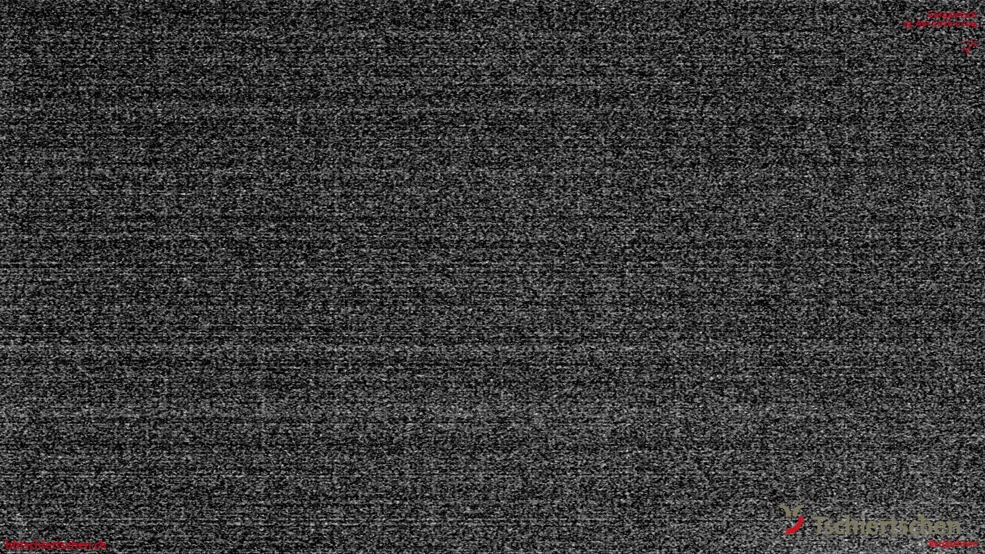 Tschiertschen: Alp Farur Richtung Gürgaletsch (2450 m.ü.M)