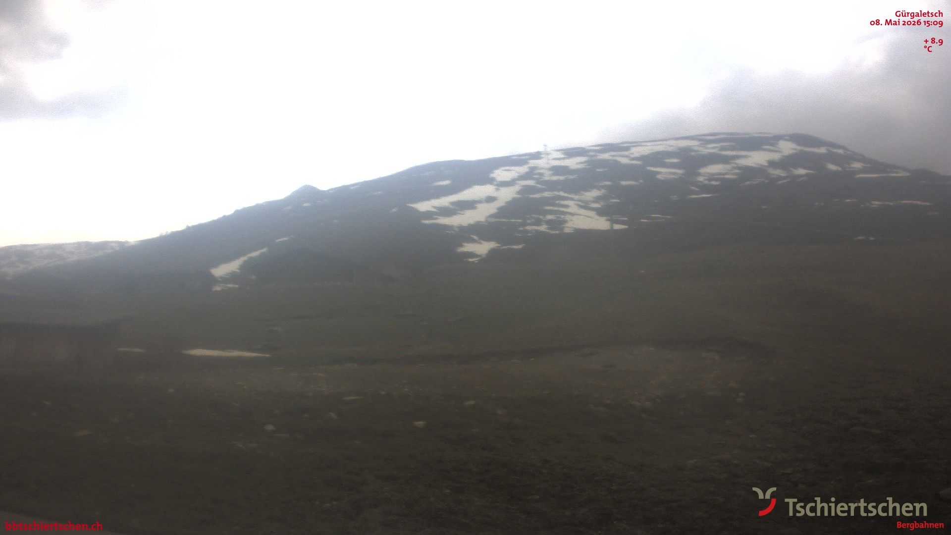 Tschiertschen: Alp Farur Richtung Gürgaletsch (2450 m.ü.M)