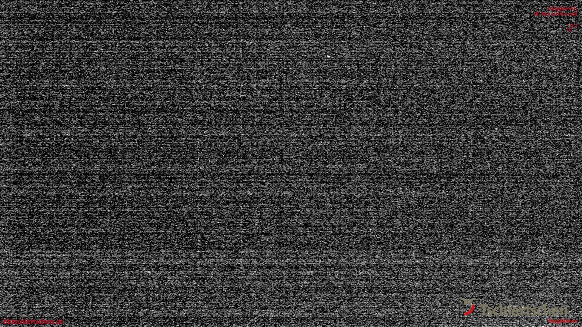 Tschiertschen: Alp Farur Richtung Gürgaletsch (2450 m.ü.M)