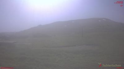 Tschiertschen: Alp Farur Richtung Gürgaletsch (2450 m.ü.M)