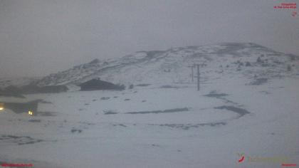 Tschiertschen: Alp Farur Richtung Gürgaletsch (2450 m.ü.M)