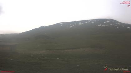 Tschiertschen: Alp Farur Richtung Gürgaletsch (2450 m.ü.M)