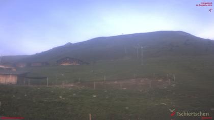 Tschiertschen: Alp Farur Richtung Gürgaletsch (2450 m.ü.M)