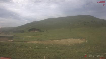 Tschiertschen: Alp Farur Richtung Gürgaletsch (2450 m.ü.M)