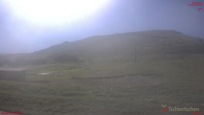 Tschiertschen: Alp Farur Richtung Gürgaletsch (2450 m.ü.M)