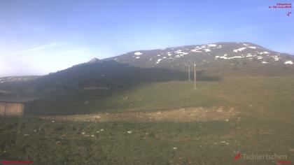 Tschiertschen: Alp Farur Richtung Gürgaletsch (2450 m.ü.M)