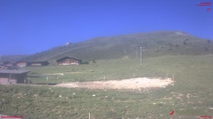 Tschiertschen: Alp Farur Richtung Gürgaletsch (2450 m.ü.M)