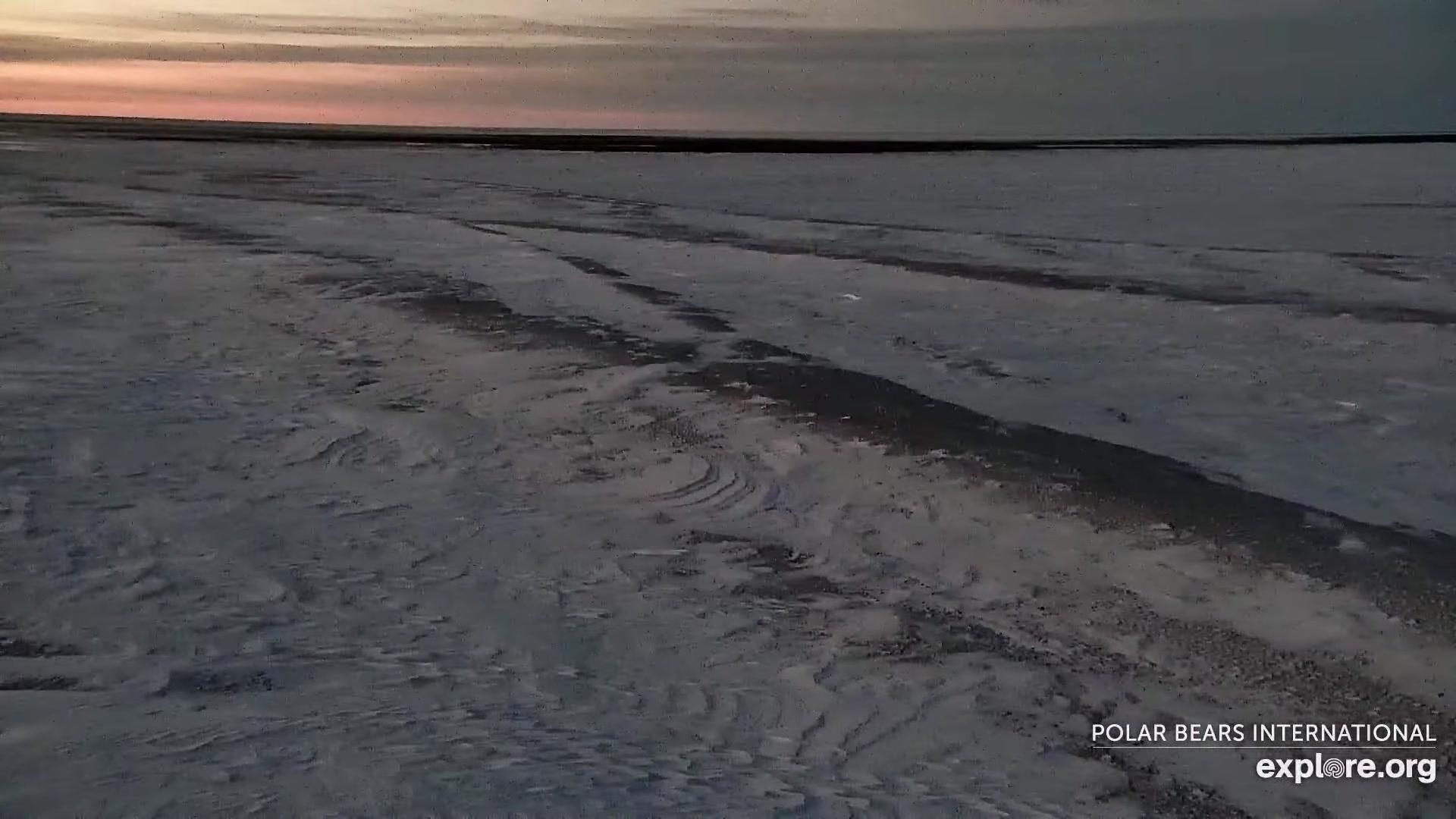 Manitoba: Wapusk National Park