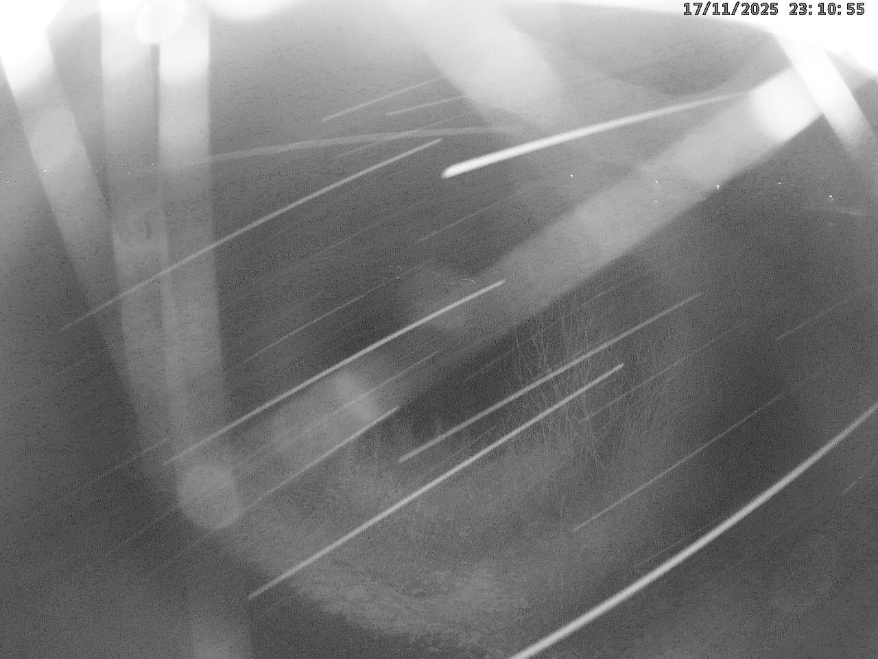 Willerzell › Westen: Sihlsee