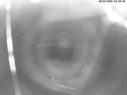 Willerzell › West: Sihlsee