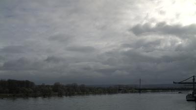Tannenbusch harbor webcam