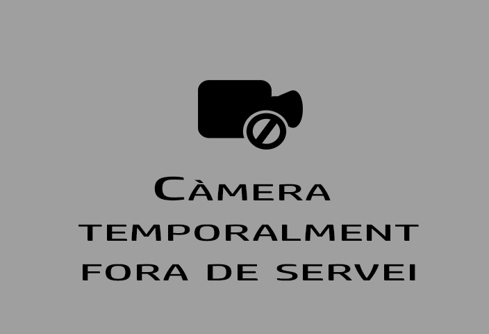 Traffic Cam Sispony: CG3 - PK 3+400 (Rotonda Anyòs) - 1.202 metres
