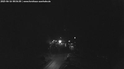 Grafenberg forest webcam
