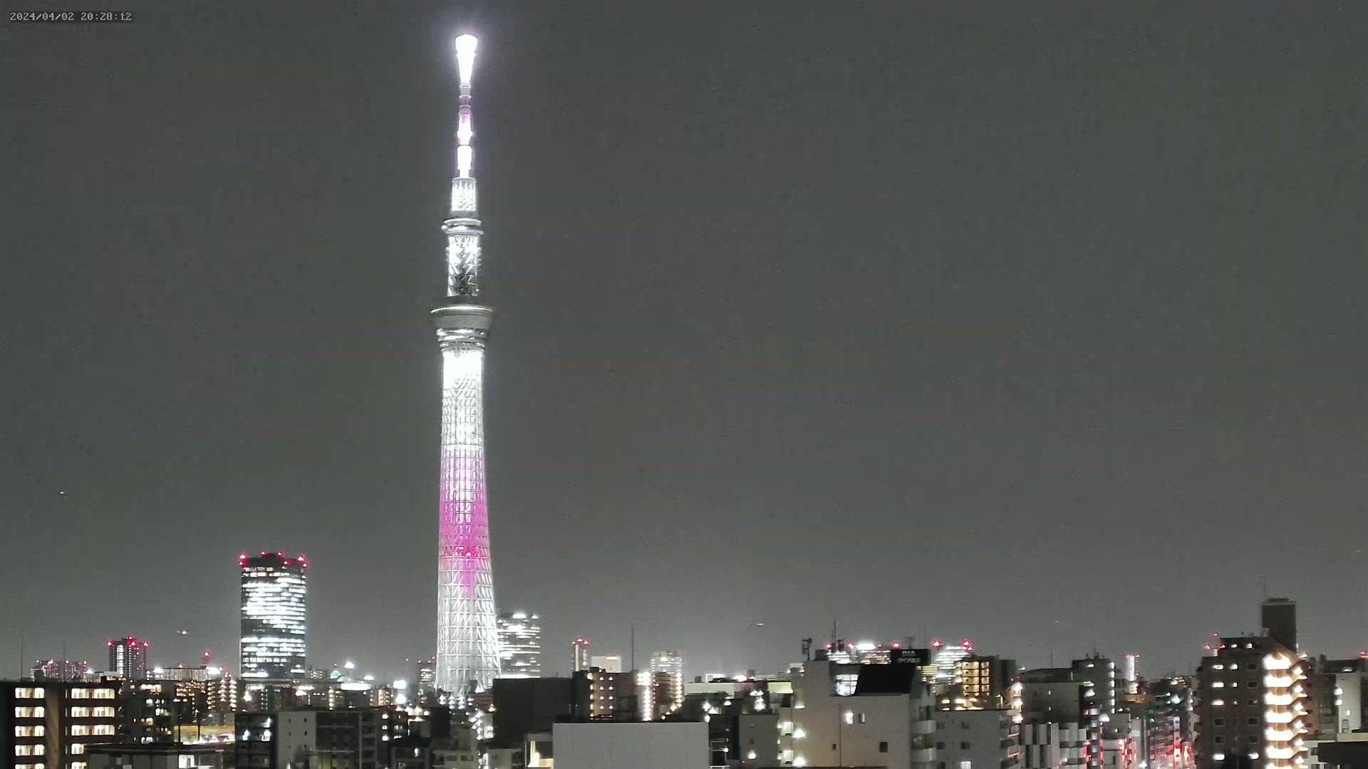 Taito City Weather: Webcam