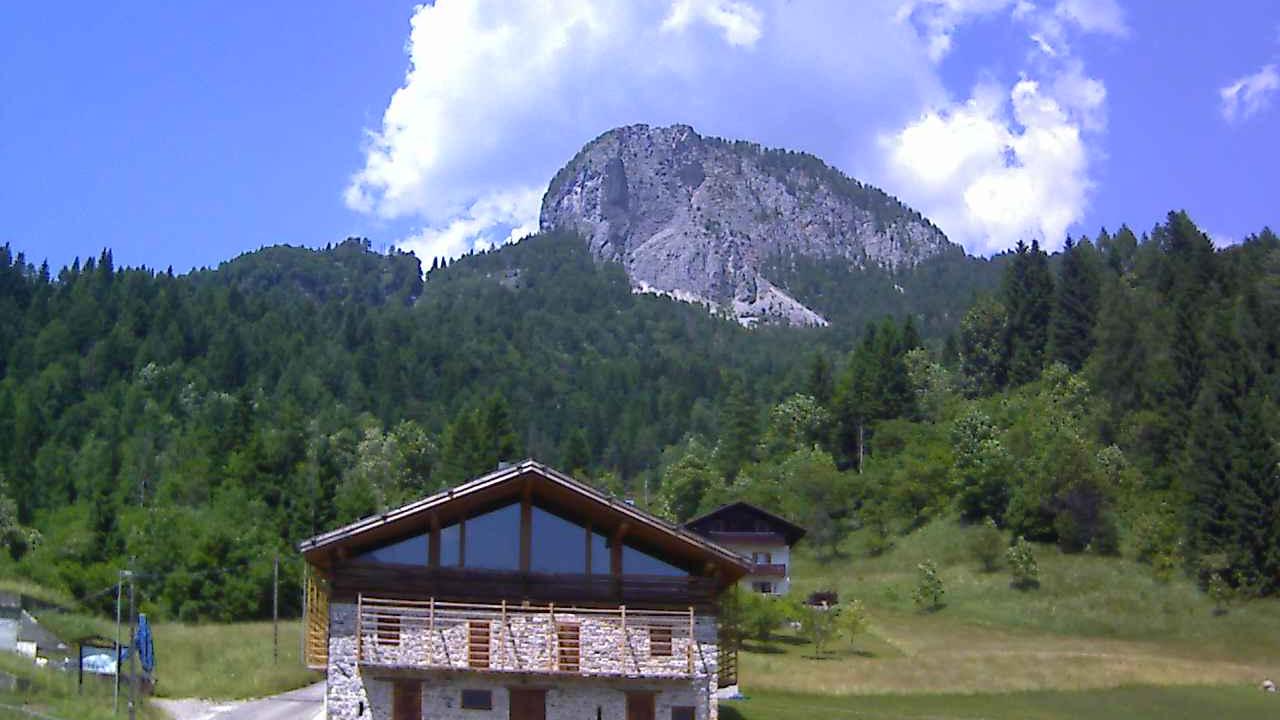 Forni Di Sopra forest Webcam
