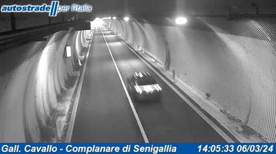 Preview delle webcam di Senigallia: Gall. Cavallo - Complanare di