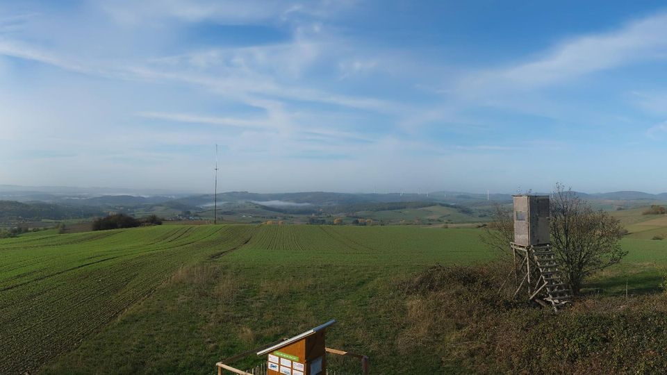 Kaiserslautern during daytime