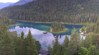 Flims forest webcam