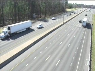 Springfield webcam