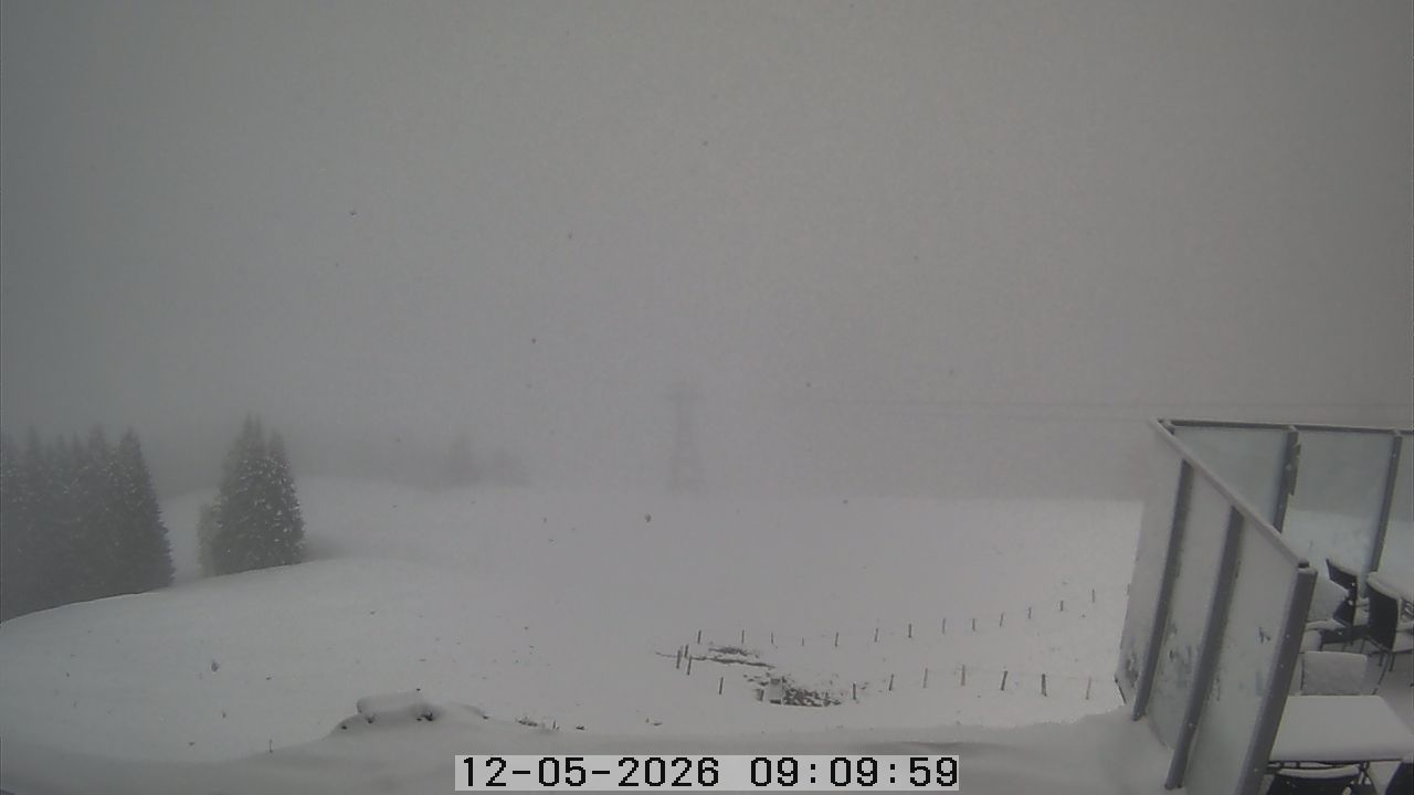 Dallenwil: Webcam Gummenalp