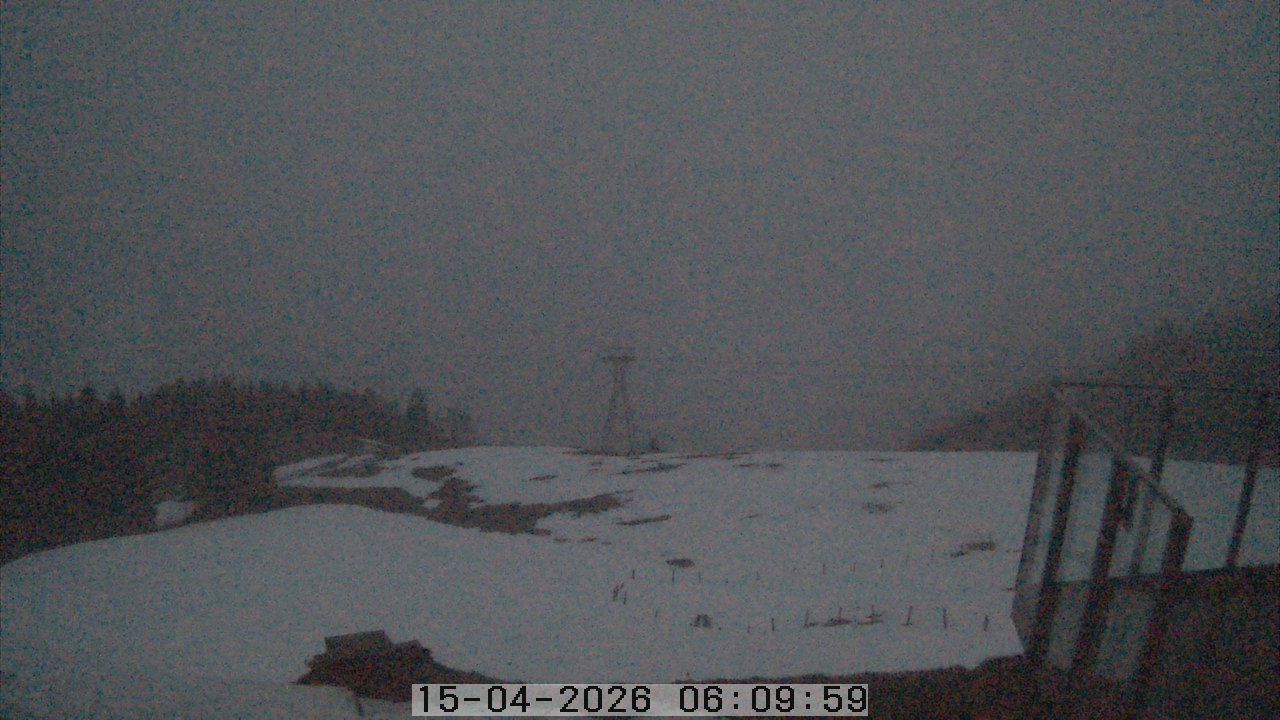 Dallenwil: Webcam Gummenalp