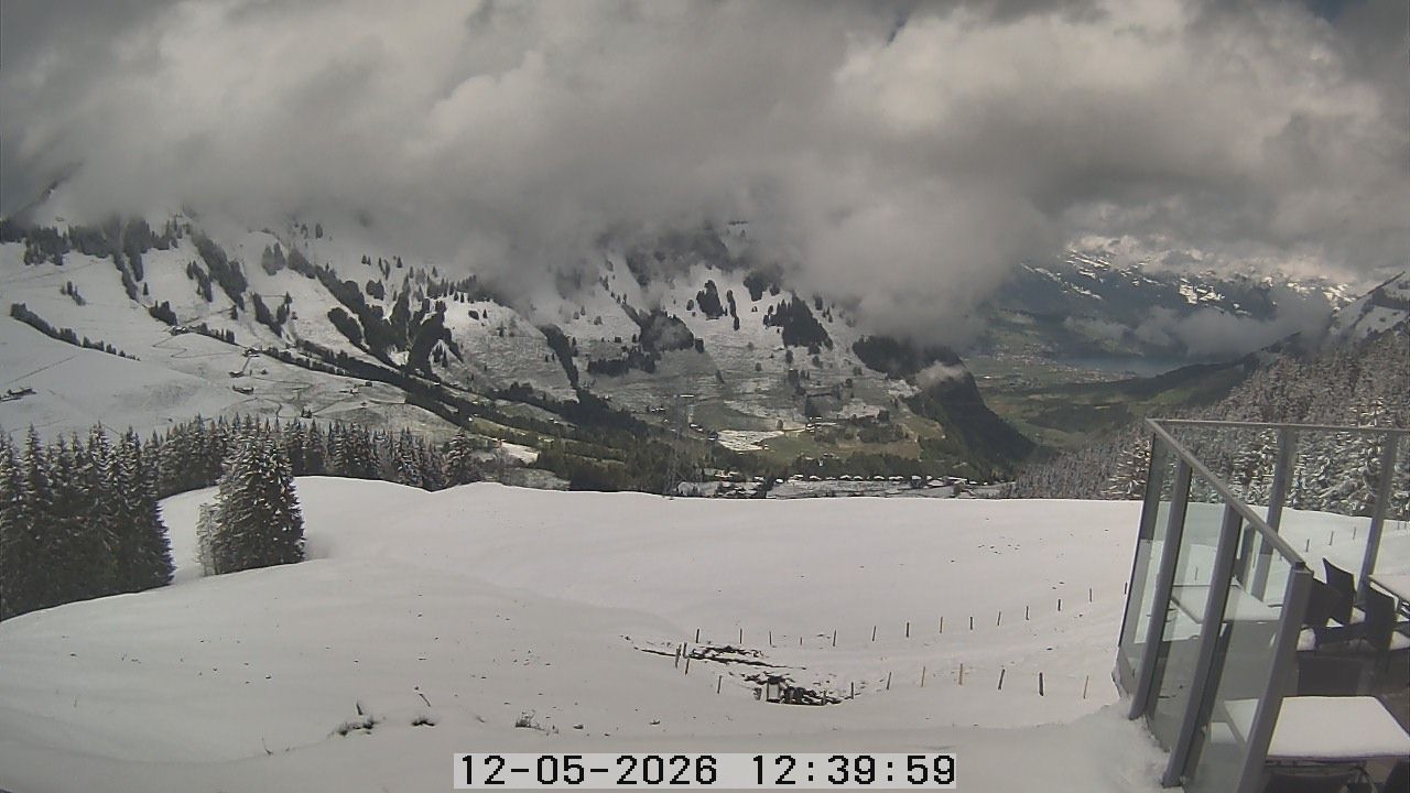 Dallenwil: Webcam Gummenalp