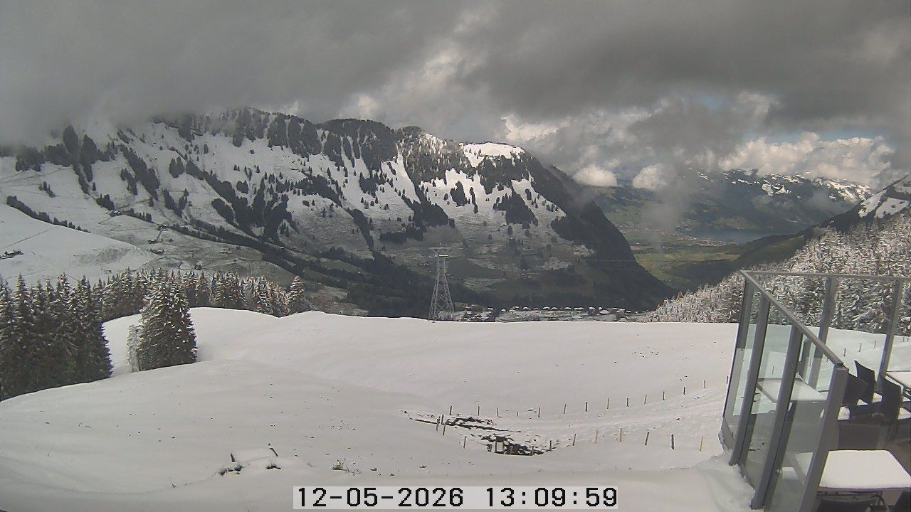 Dallenwil: Webcam Gummenalp