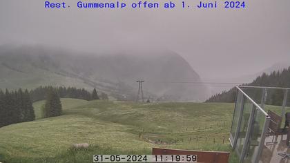 Dallenwil: Webcam Gummenalp