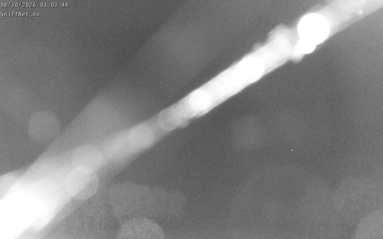 Traffic Cam Rodoy: Rødøyløva