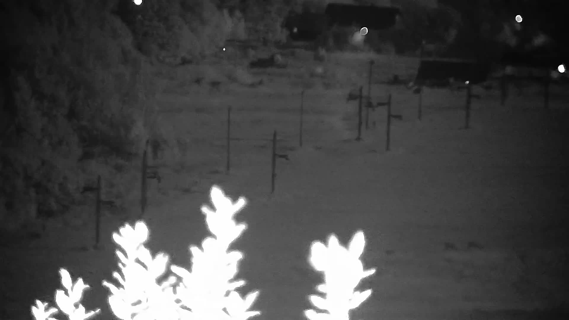 Traffic Cam Chyrowa: stok narciarski