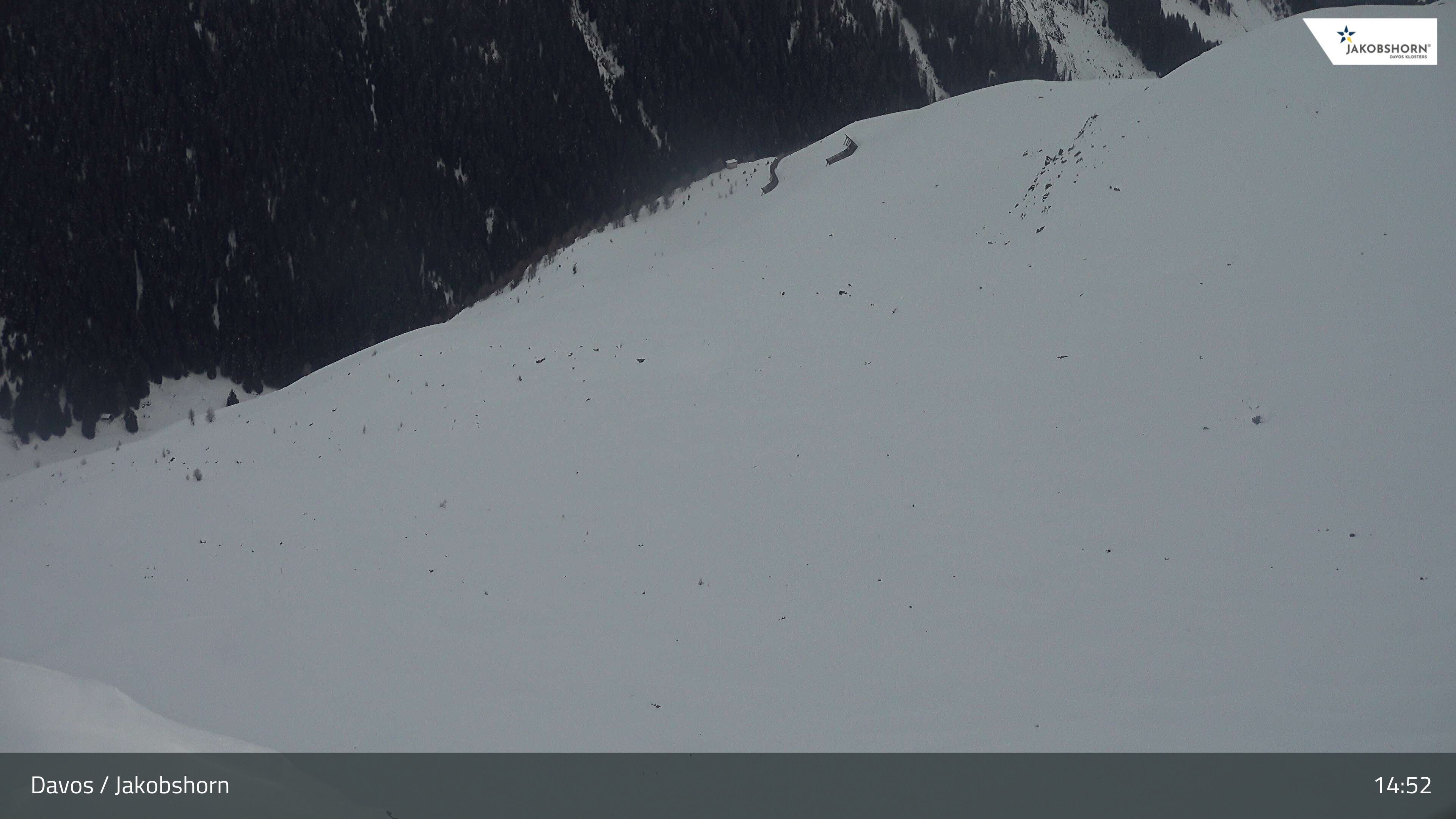 Davos: Platz - Jakobshorn, Blick Teufi