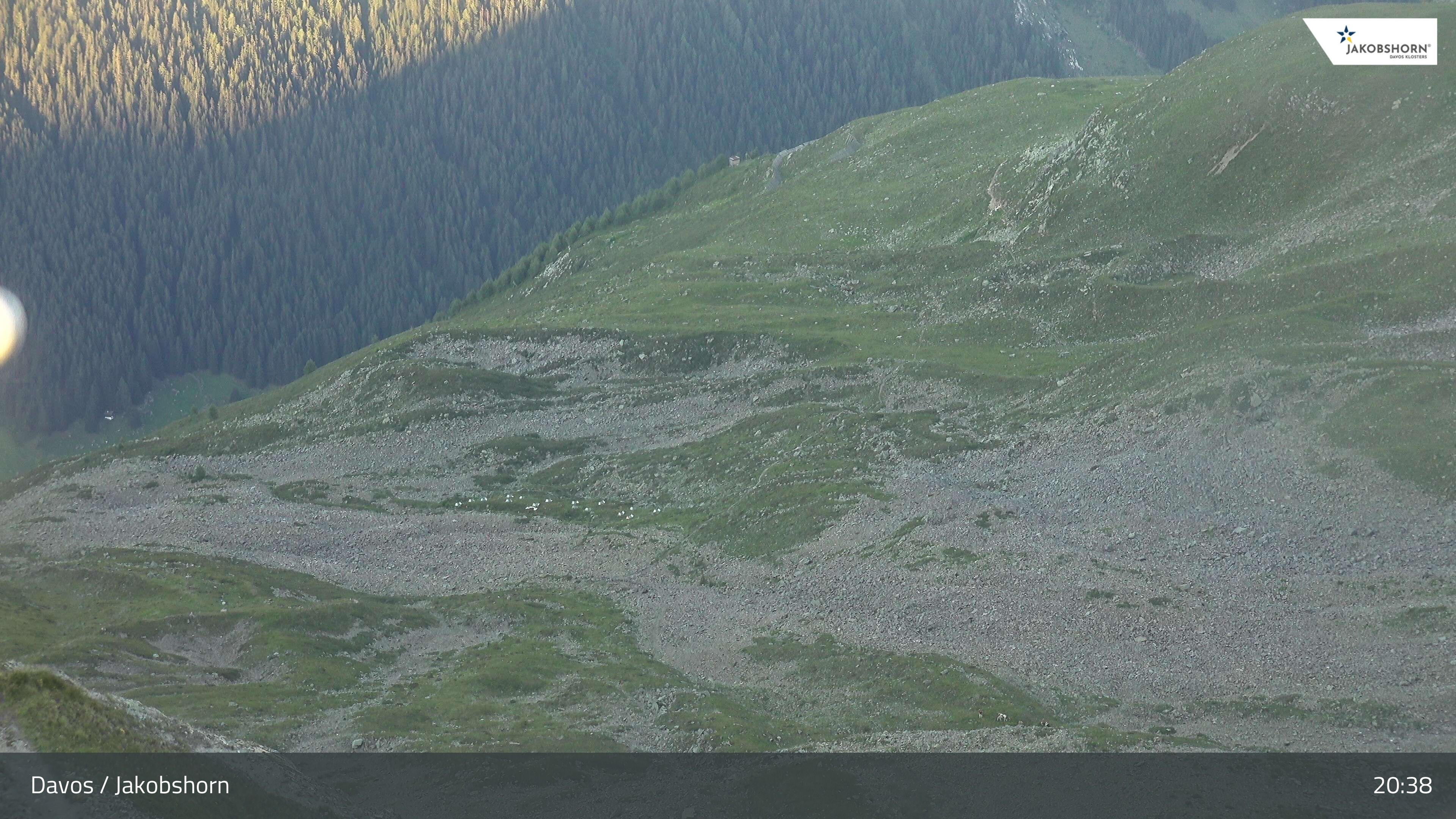 Davos: Platz - Jakobshorn, Blick Teufi