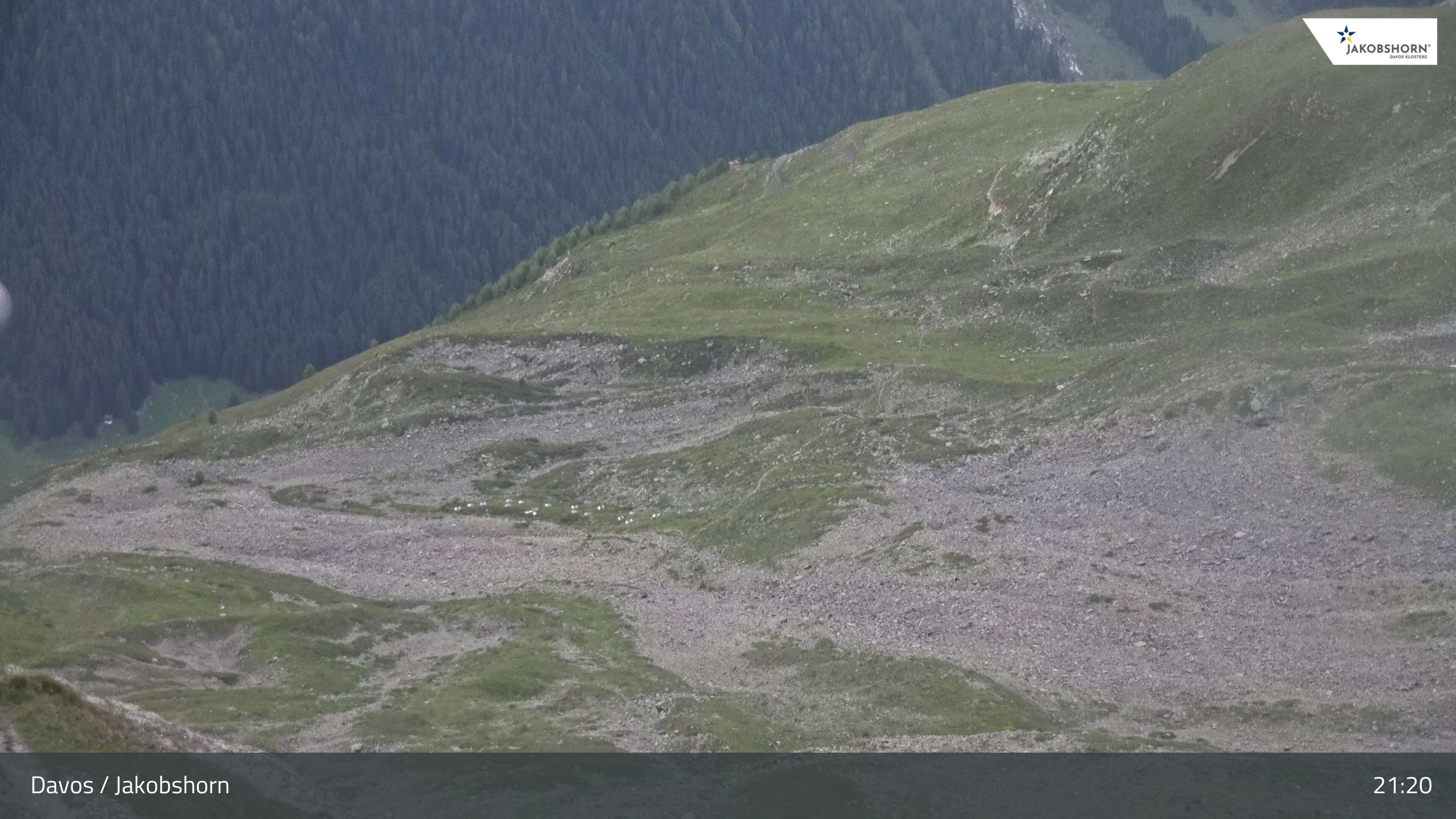 Davos: Platz - Jakobshorn, Blick Teufi